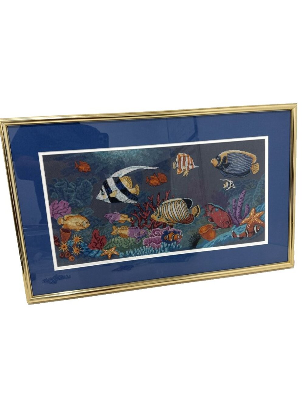 Tropical Reef